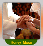 Honey Moon Program