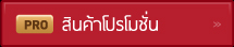 สินค้าโปรโมชั่น